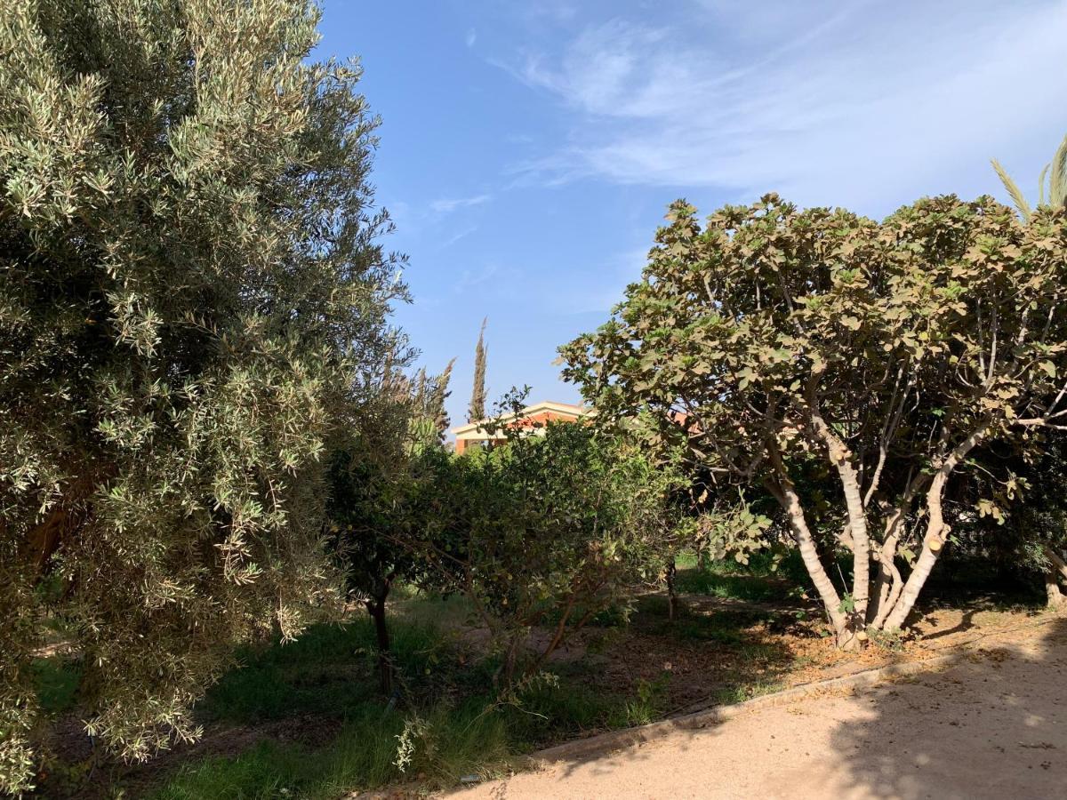 Tiguimi Vacances - Oasis Villas, Cadre Naturel Et Vue Montagne Agadir