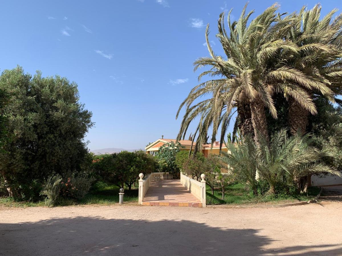 Tiguimi Vacances - Oasis Villas, Cadre Naturel Et Vue Montagne *