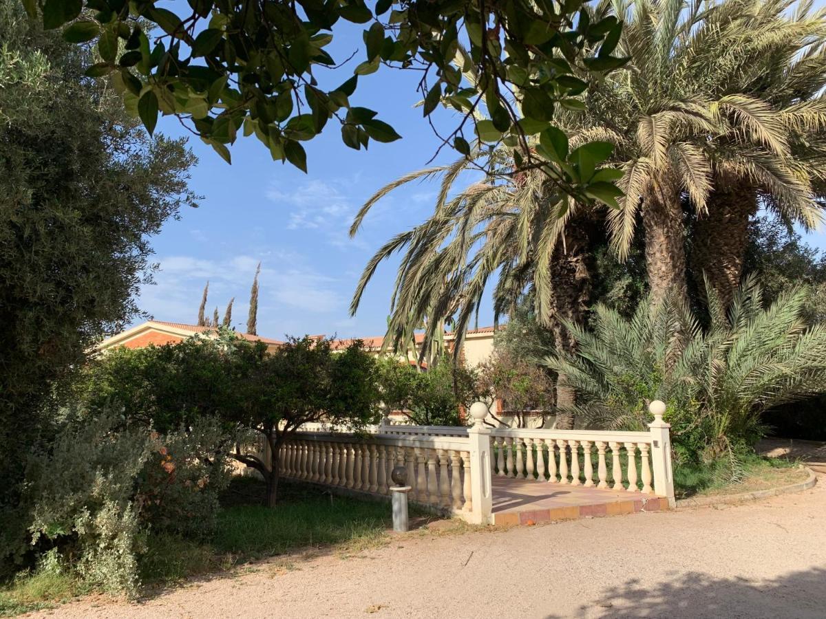 Tiguimi Vacances - Oasis Villas, Cadre Naturel Et Vue Montagne